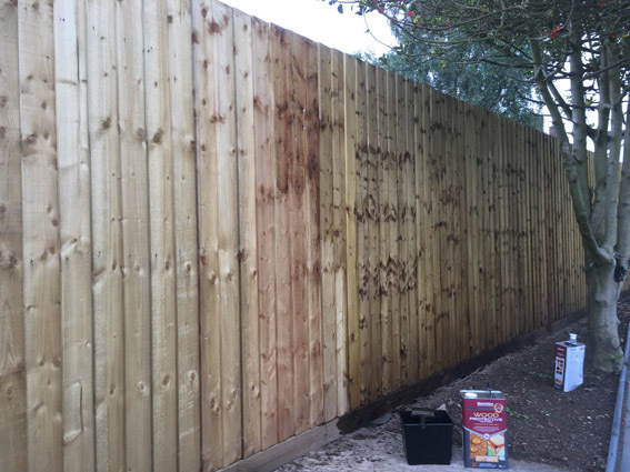 A feather edge timber fence painted with Barrettine Clear Wood Protective Treatment