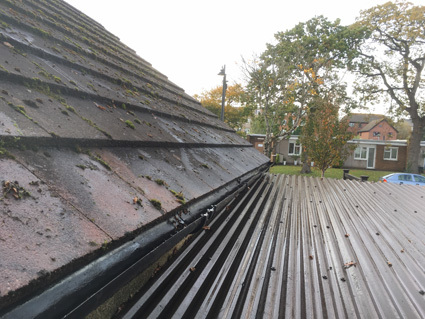 Rainwater gutters on garage roof cleared of mud, leaves, debris and weeds