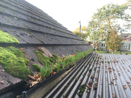 Rainwater gutters on garage roof blocked with mud, leaves, debris and weeds