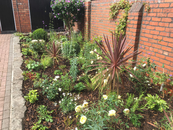 Rectangular herbaceous planting bed finished with chipped bark mulch